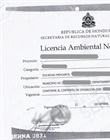 Licencia Ambiental